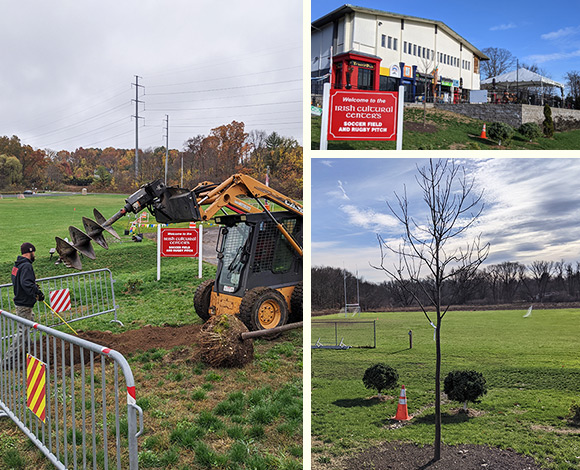 ICC Plants Trees
