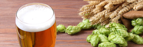 German Beer Pairing Dinner