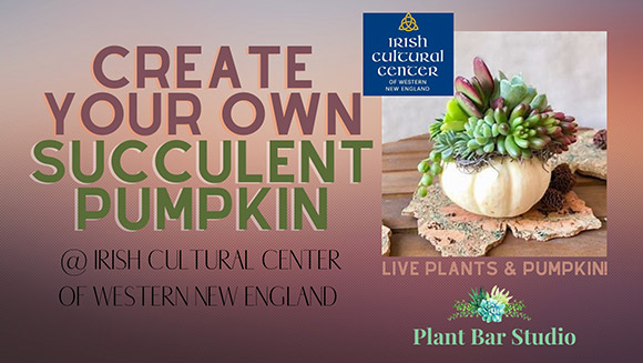 Create a Succulent Pumpkin