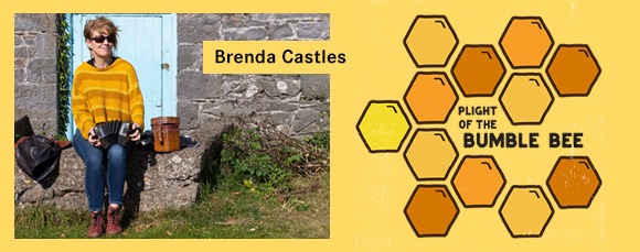 Plight of the Bumble Bee
